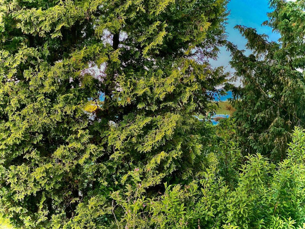 Casa Raphael Direkt Am Scharbeutzer Strand Экстерьер фото